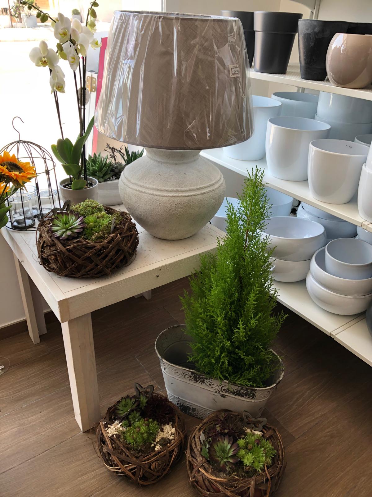 ¡Oportunidad única en Alfaz del Pi! – Tu negocio soñado con flores, decoración y chocolate