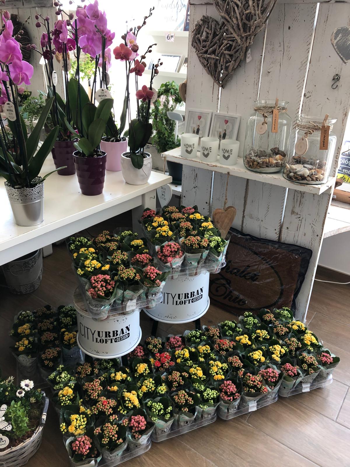 ¡Oportunidad única en Alfaz del Pi! – Tu negocio soñado con flores, decoración y chocolate