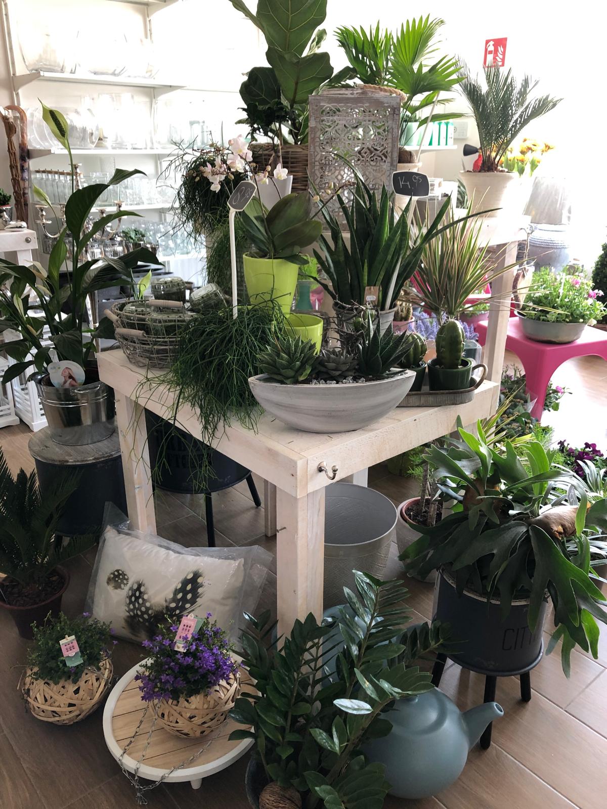 ¡Oportunidad única en Alfaz del Pi! – Tu negocio soñado con flores, decoración y chocolate