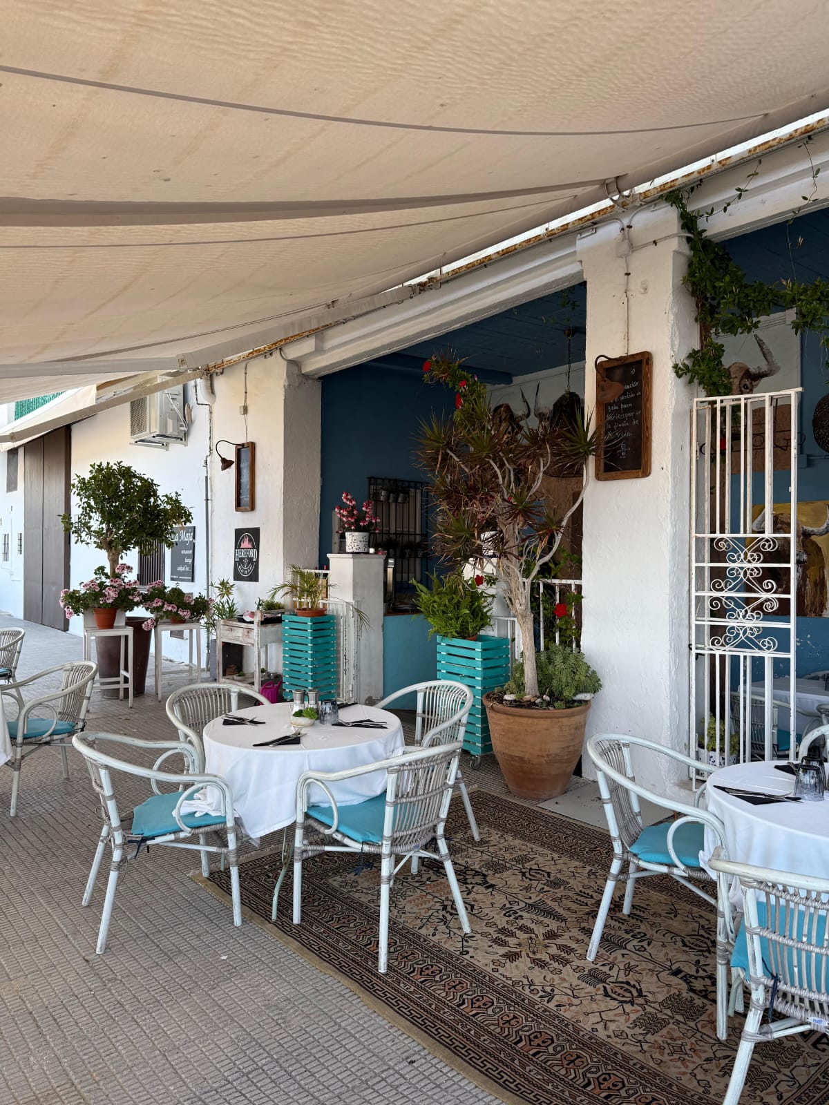 GH-0326 - Restaurant accueillant sur la promenade maritime d'Altea !