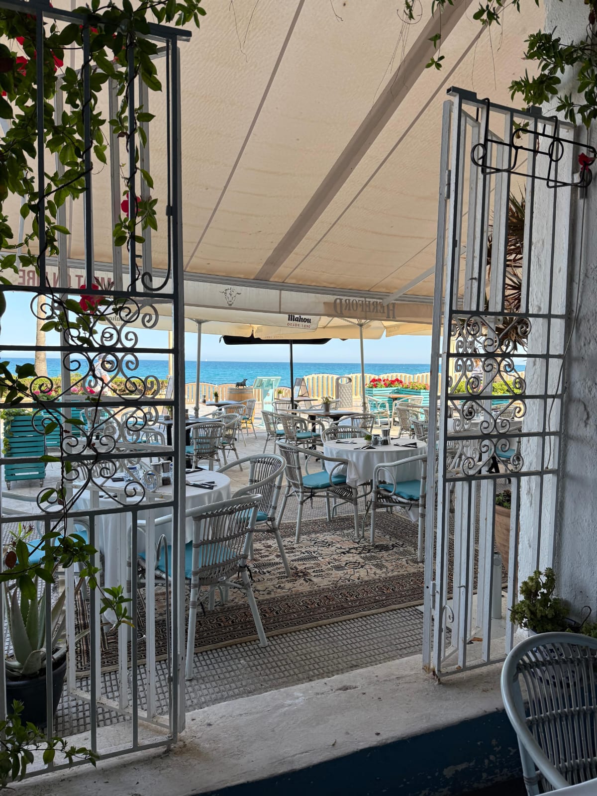 Cozy restaurant on the seaside promenade of Altea!