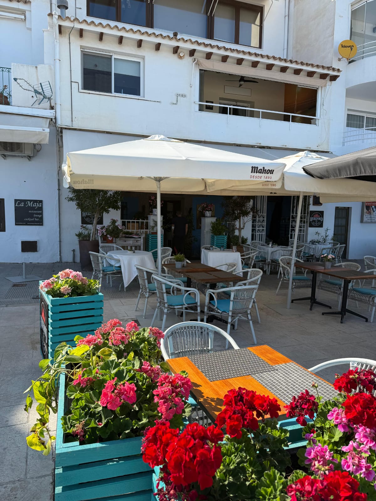 Cozy restaurant on the seaside promenade of Altea!