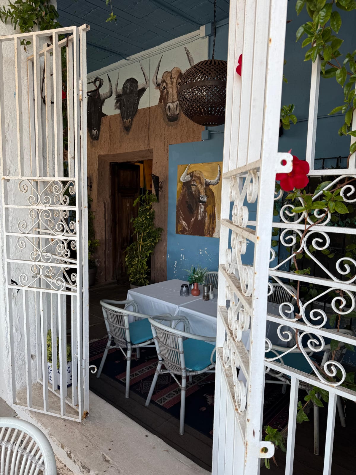 Cozy restaurant on the seaside promenade of Altea!