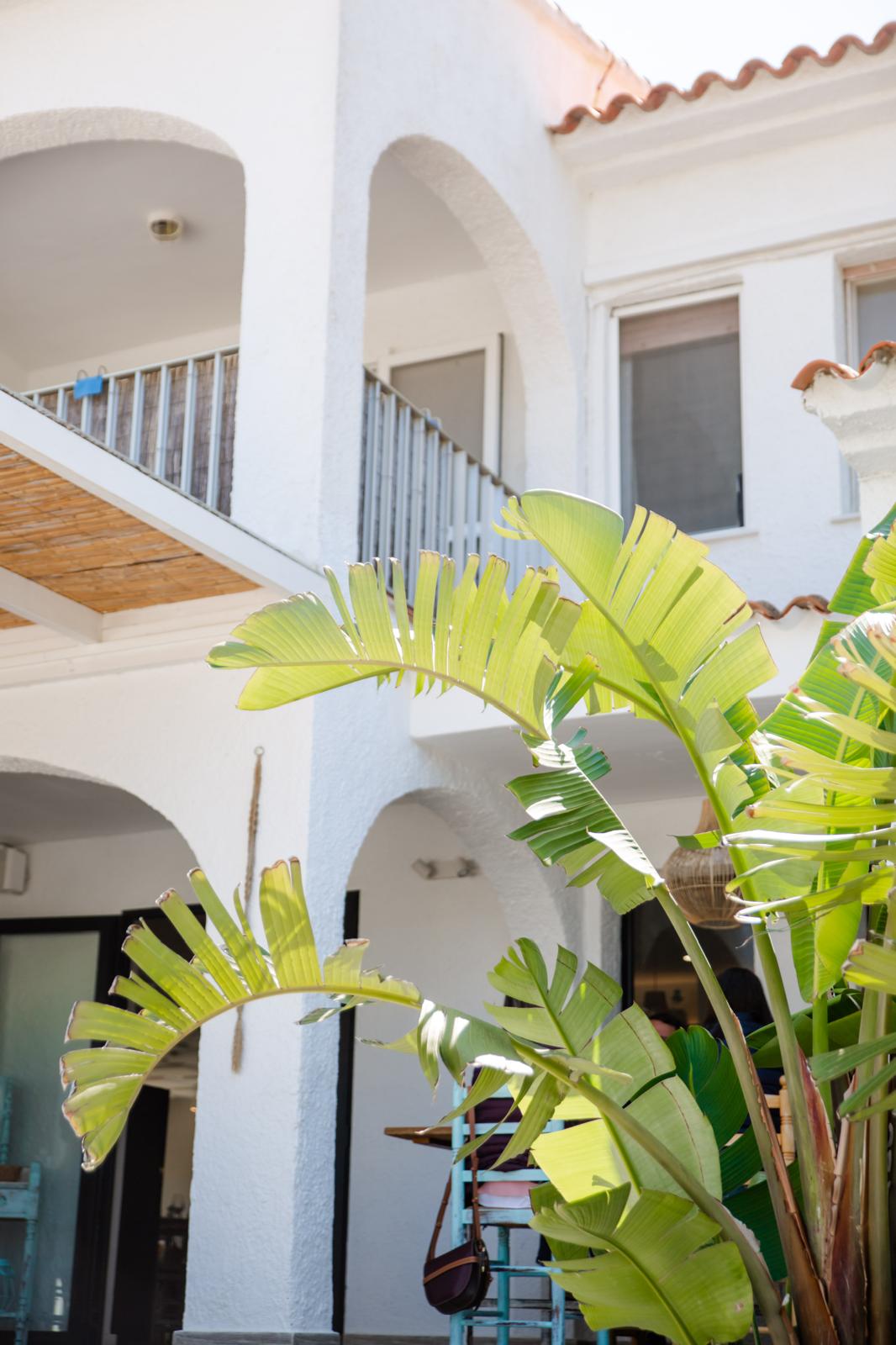 Unieke kans in Dénia! Gevestigd restaurant met grote prestige en trouwe klanten.