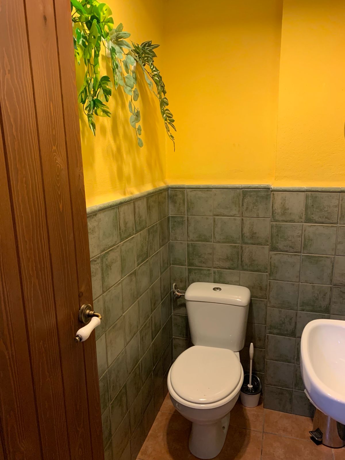 Volledig uitgeruste hostel/B&B in Benidorm