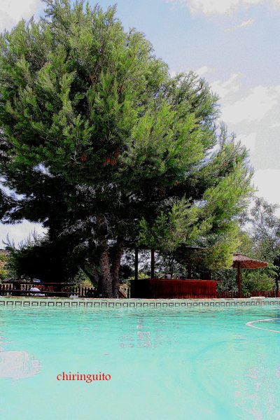 Oportunidad unica en Gea y Truyols, finca en plena naturaleza