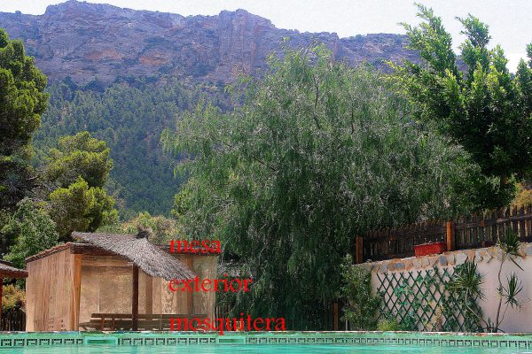 Oportunidad unica en Gea y Truyols, finca en plena naturaleza
