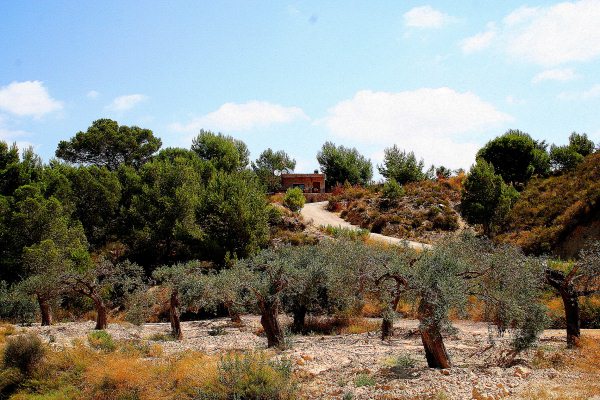 Oportunidad unica en Gea y Truyols, finca en plena naturaleza