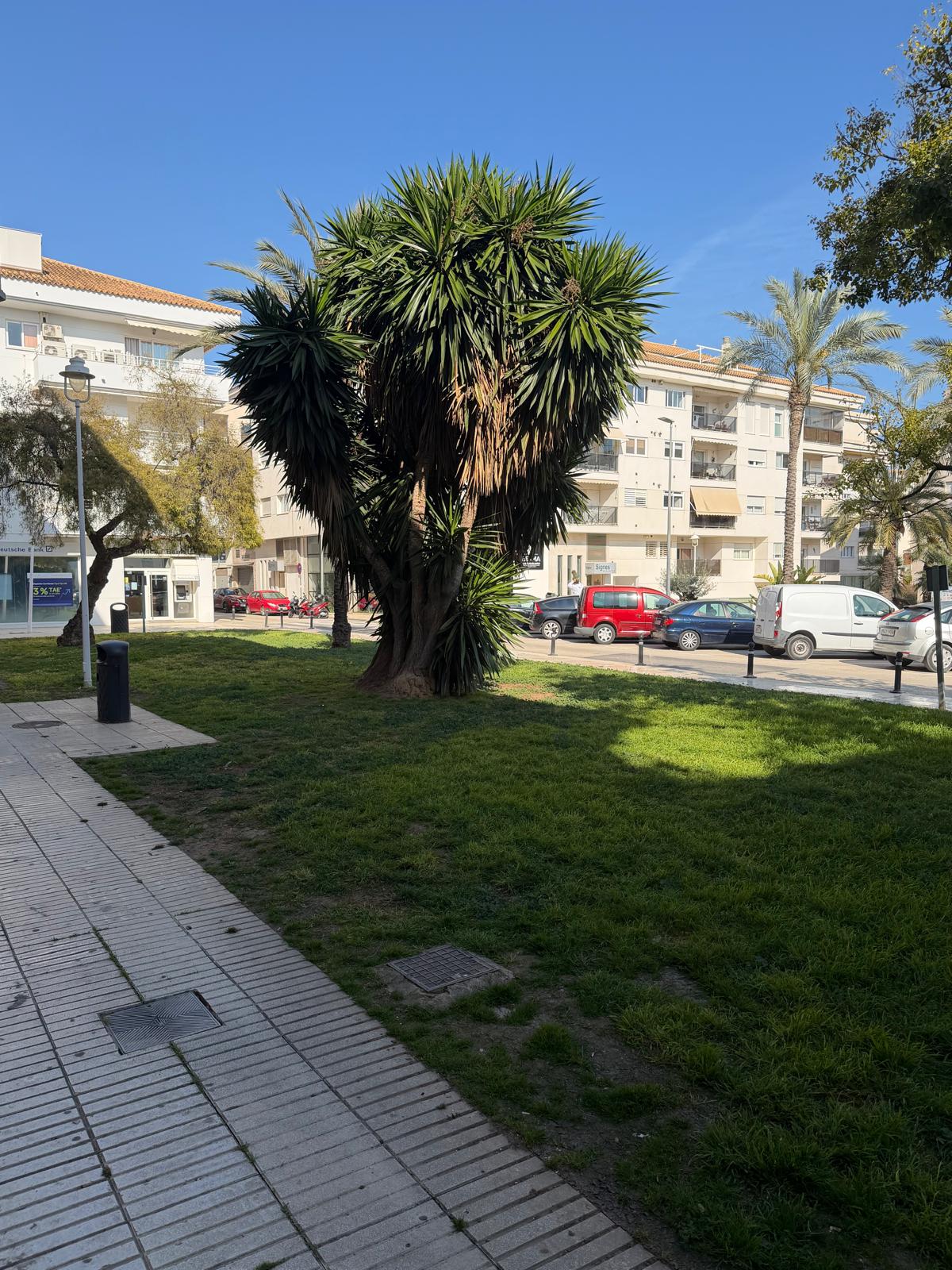 Cession d'un commerce consolidé au cœur d'Altea — Bar Cafeteria Bon Estar