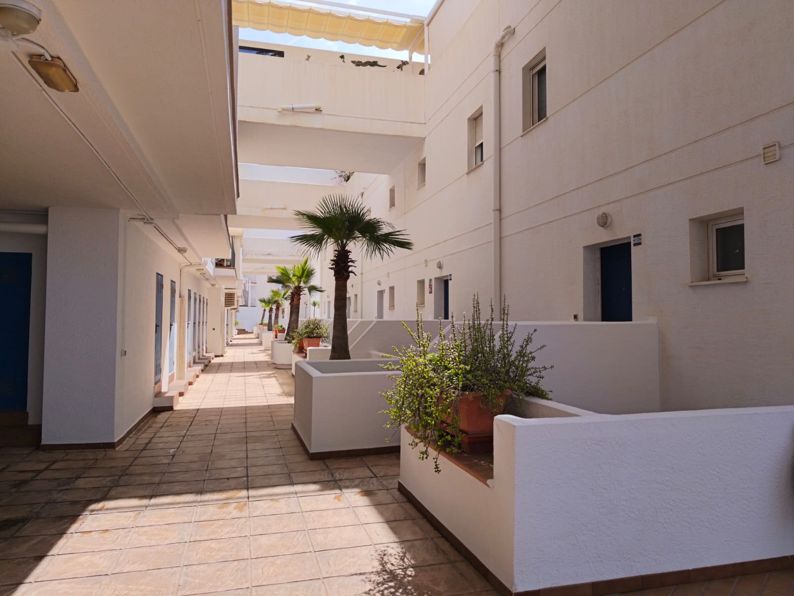 For sale, a truly special apartment in one of the most privileged areas of Benidorm.