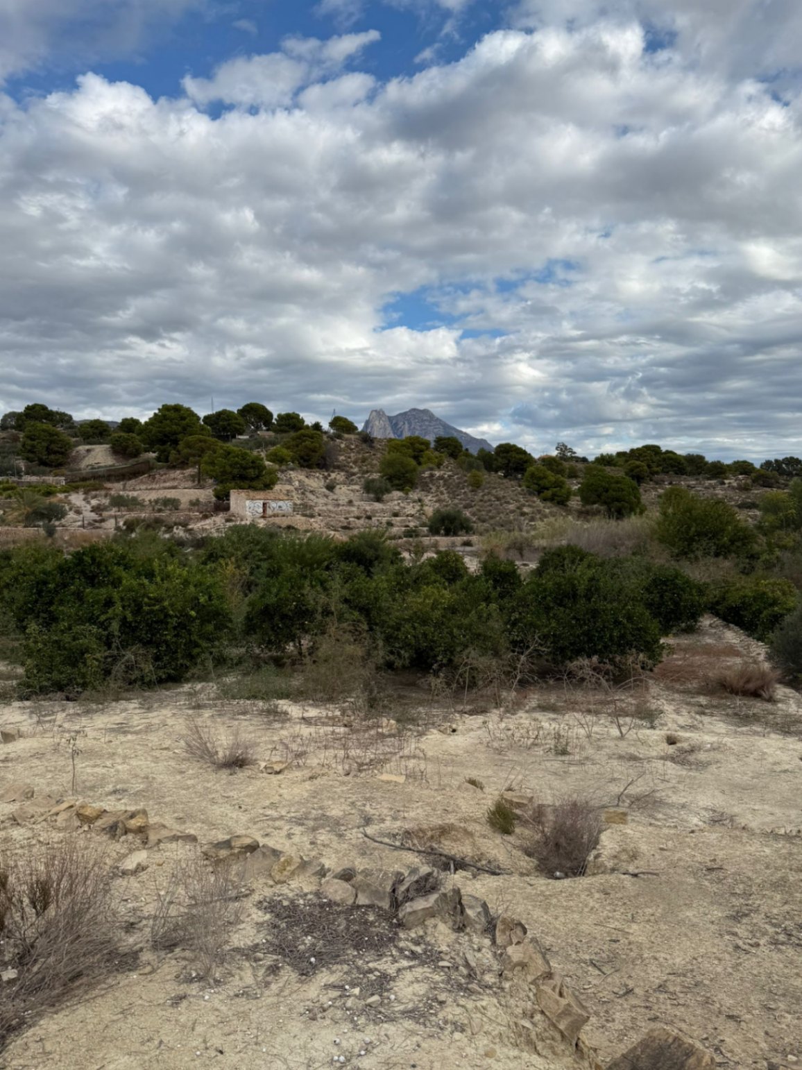 Country House / Finca in Villajoyosa