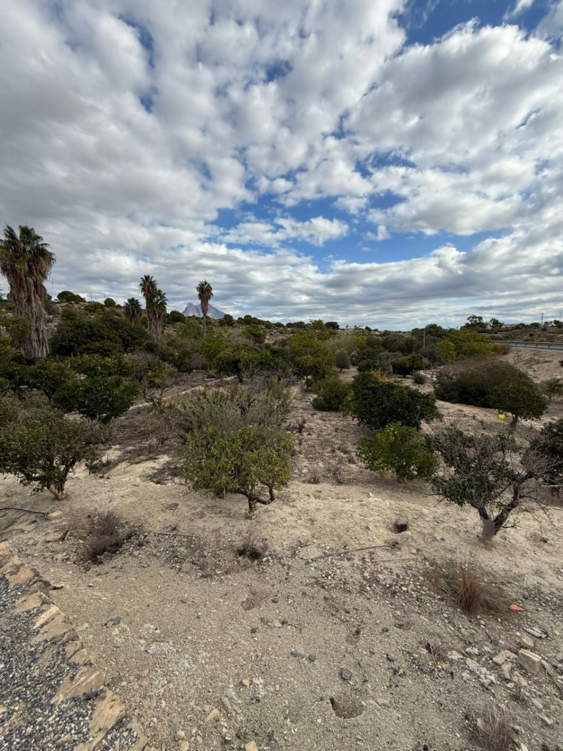 Country House / Finca in Villajoyosa