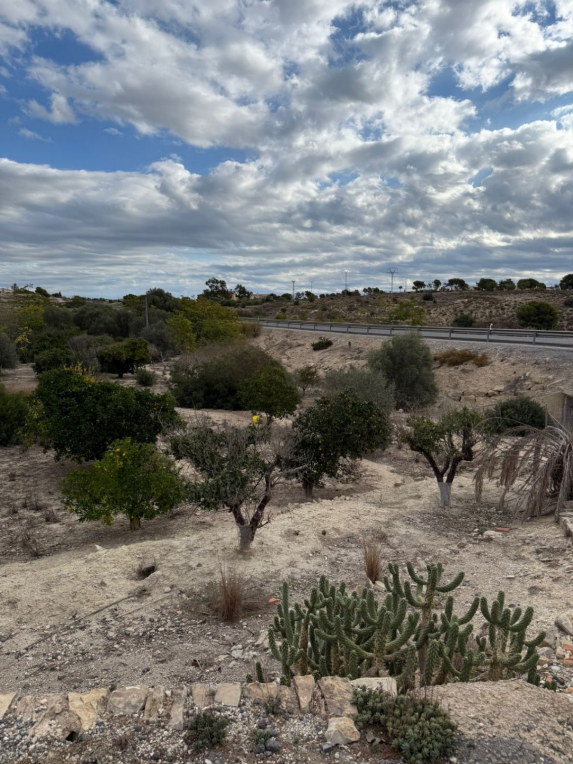 Country House / Finca in Villajoyosa