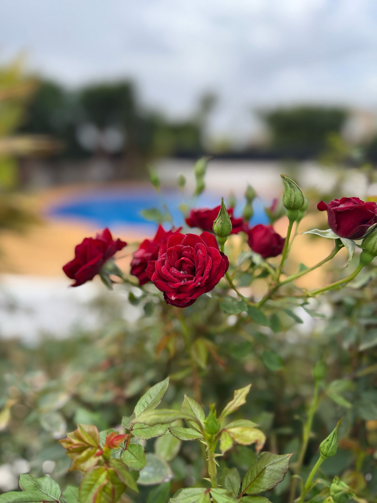 Te koop luxe villa in Alfaz del Pí