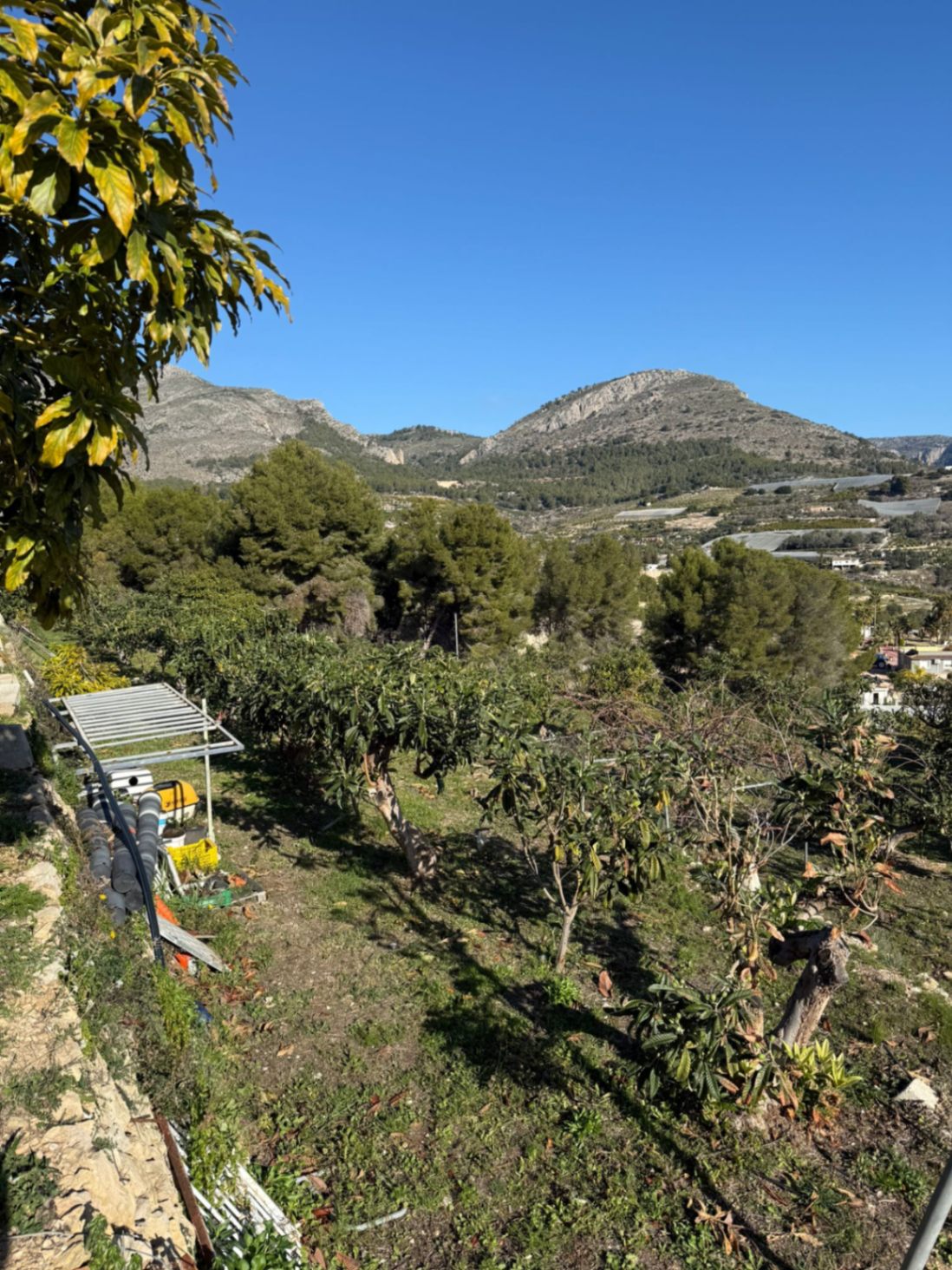 Terreno de 7400 metros en Callosa den Saria con posibilidad de construir hasta 150 m2