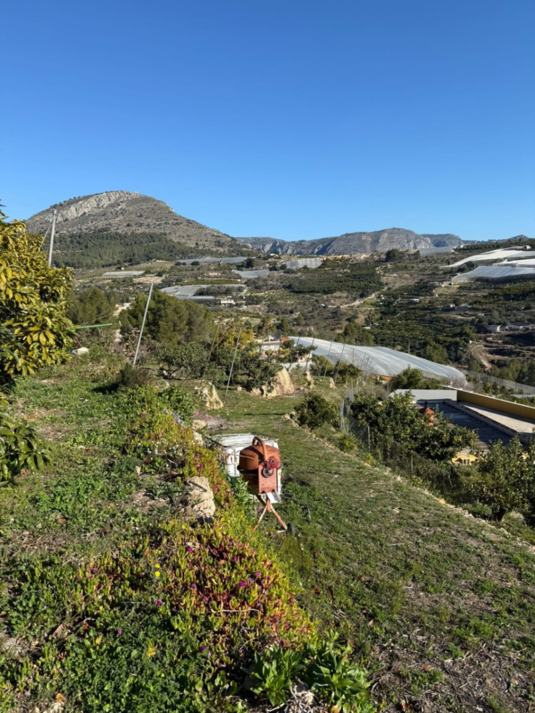 Terreno de 7400 metros en Callosa den Saria con posibilidad de construir hasta 150 m2