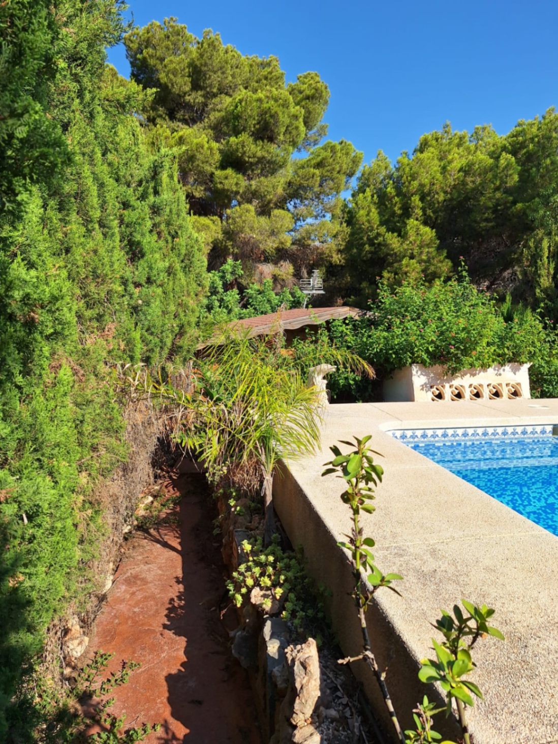 ¡Oportunidad única de alquiler en el corazón de Albir!